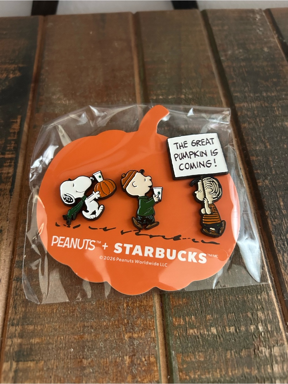 Starbucks x Peanuts Snoopy 2026 Pumpkin Enamel Pin Set New